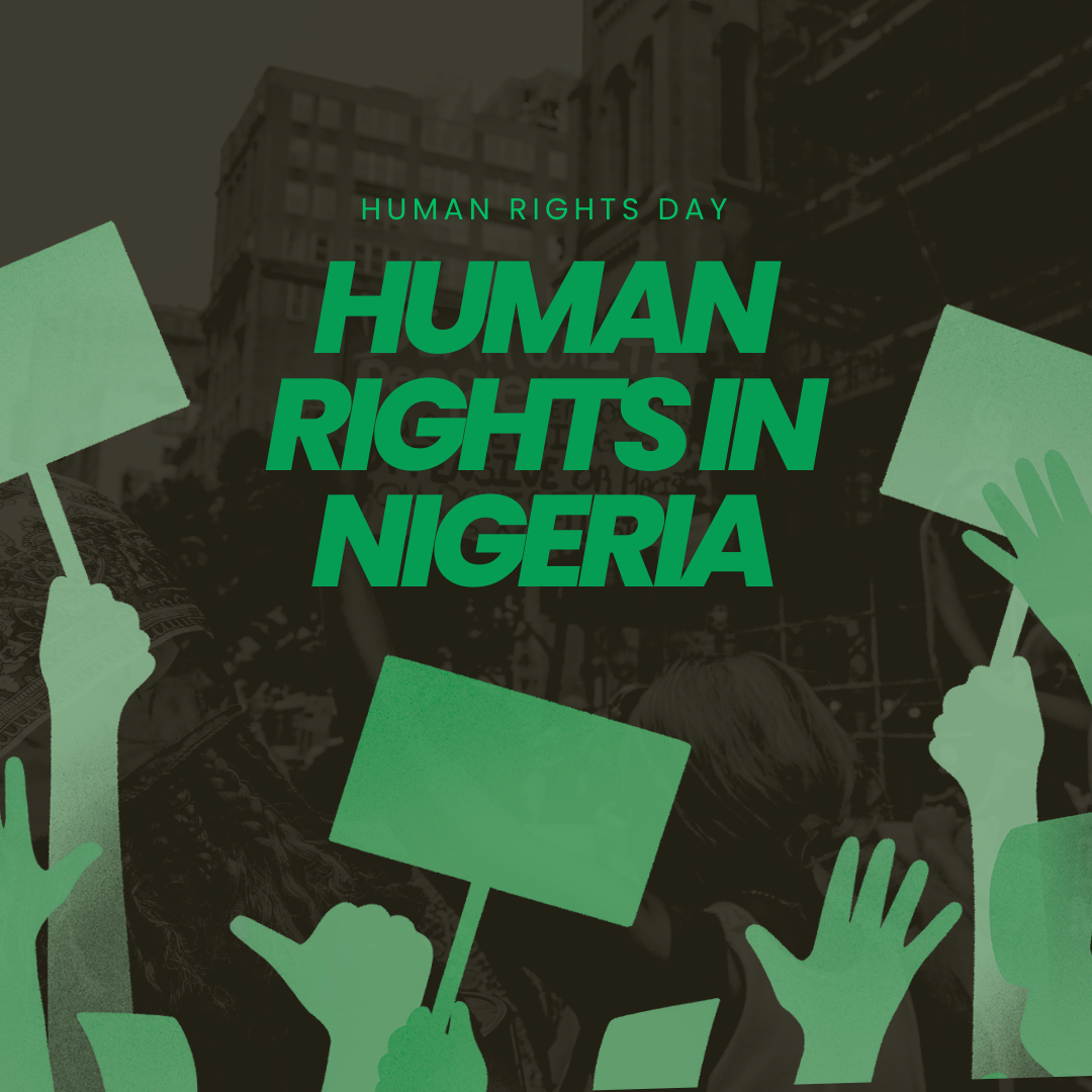 Human Rights Article
